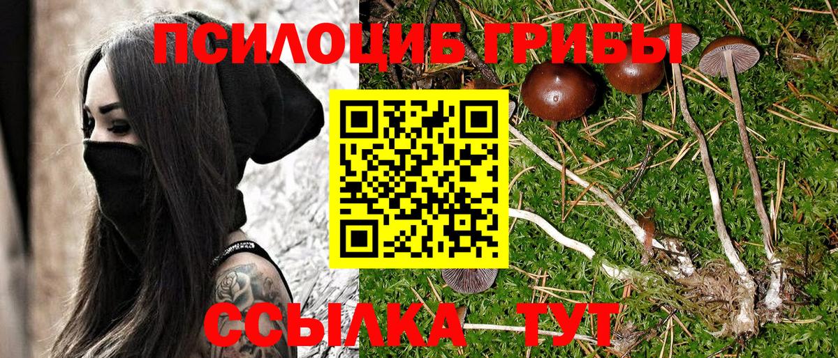 Псилоцибиновые грибы ЛСД Тосно